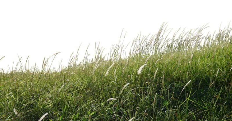 Freepik/rawpixel.com